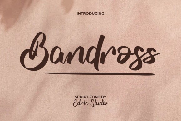 Bandross Typeface Review: Bold Script Design for Campaign Impact