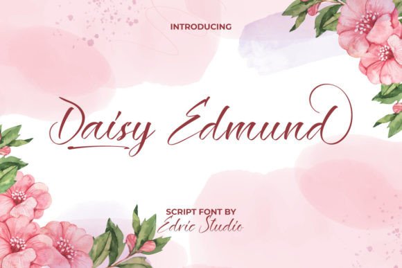 Daisy Edmund Font for a Polished Brand Look