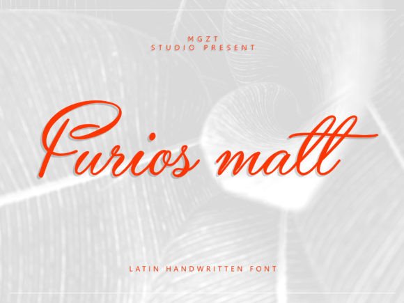 Furios Malt Script Font Review