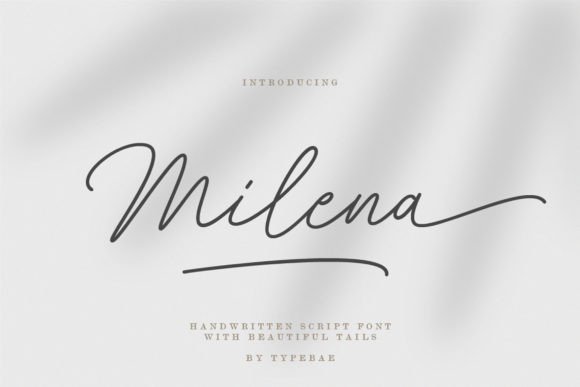 How Milena Transformed My Brand’s Visual Identity